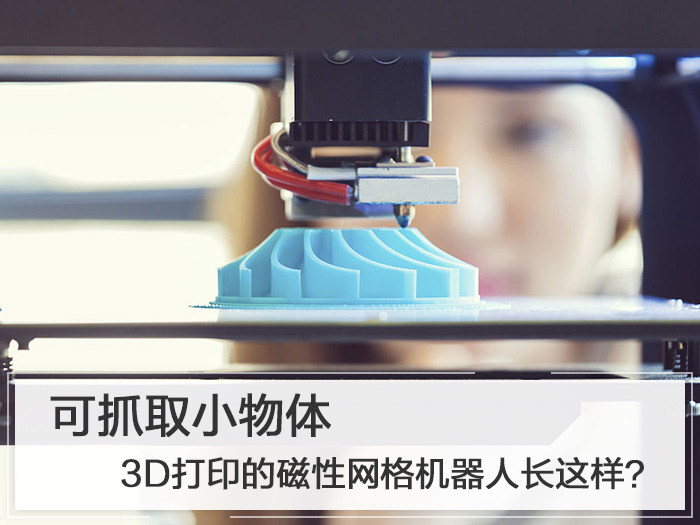 3DӡĴ˳ץȡС
